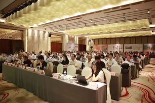 第二届纤维复合材料固废回收再利用技术交流大会在湘召开 顶立科技推动循环经济新发展