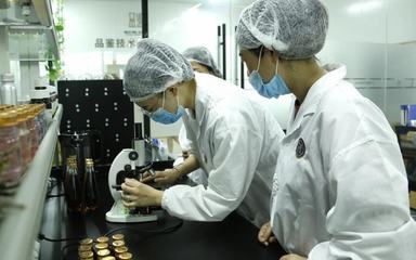 品鉴即食燕窝OEM贴牌工厂 代加工初心可“品鉴”，技术服务先行