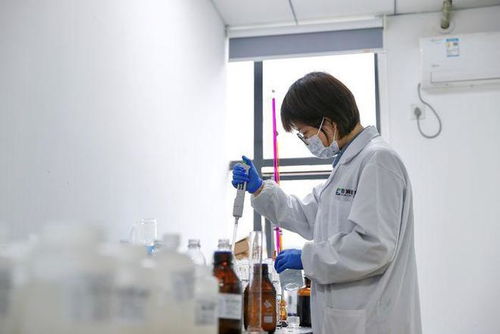 包河之“谷”与你共创未来技术开发